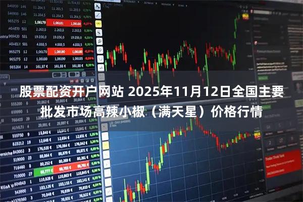 股票配资开户网站 2025年11月12日全国主要批发市场高辣小椒（满天星）价格行情